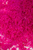 Соль мёртвого моря для ванны Shunga Oriental Crystals ""Афродизия"" 500гр